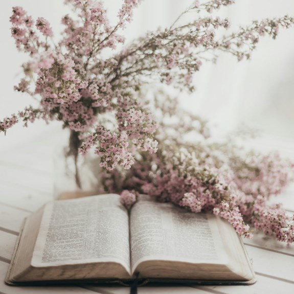 Women’s Spring Bible Studies